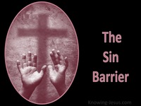The Sin Barrier